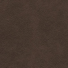 Sillón reclinable eléctrico Crossplex con reposacabezas ajustable