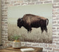 Ashley Express - Arte mural Brutus