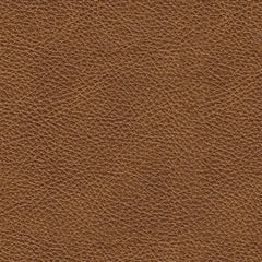 Loveseat Carianna